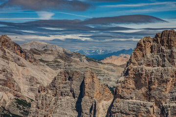 landscape forest in trentino with dolomiti mountain