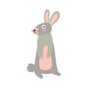 Vector cartoon eared gray hare