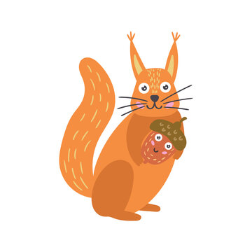 Cartoon vector red squirrel with an acorn
