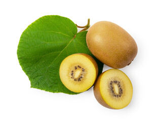 Golden kiwi and leaves on a white background