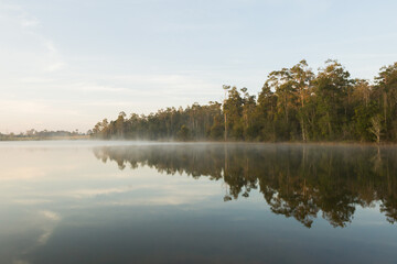 Beautiful nature and fog on the reservoir in Khao Yai National Park Thailand	