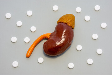 Anatomical realistic figure or model of human or animal kidney on grey background, surrounded by white tablets or pills, which are arranged in polka-dot ornament. Photos for use in medicine, urology