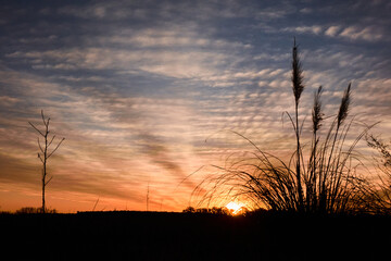atardecer