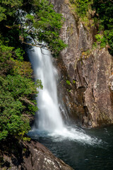 Fototapeta na wymiar 鹿児島県　屋久島国立公園の竜神の滝