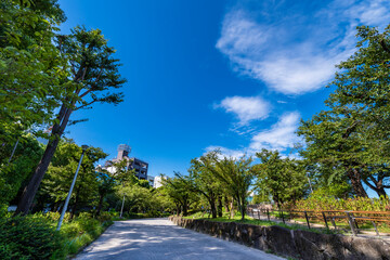 Fototapeta na wymiar 隅田公園（浅草側）の風景