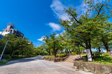Fototapeta na wymiar 隅田公園（浅草側）の風景