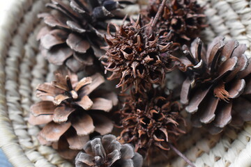 Naklejka na ściany i meble Sweet gum/Liquidambar styraciflua, a spiky ball, Pine cone on a basket. Autumn/winter image.