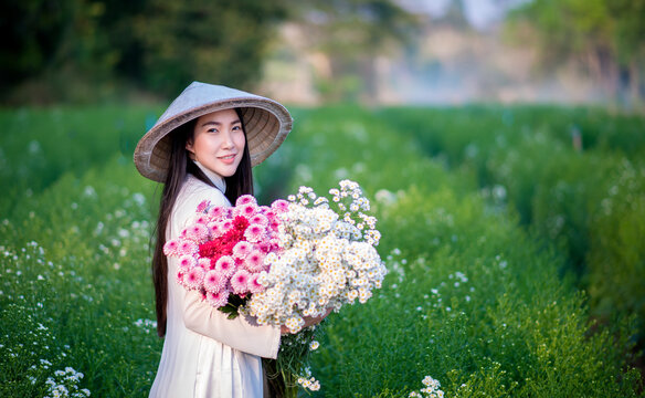 Beautiful Vietnamese girls with traditional dress (ao dai) is picking and harvesting Flower in white daisy flower garden