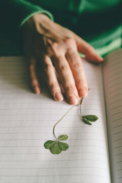 Preserving four-leaf clover for luck