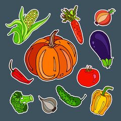 Stickers set with cute hand drawn vegetables. Vector doodle collection