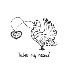 Fototapeta na wymiar Cute hand drawn illustration with dove, pendant with heart and inscription Take my heart. Vector Valentines Day collection