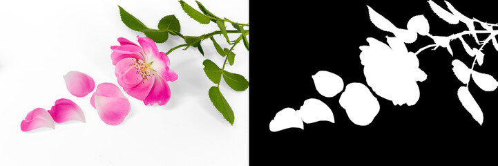 pink flower alpha mask, material design greeting cards, postcards