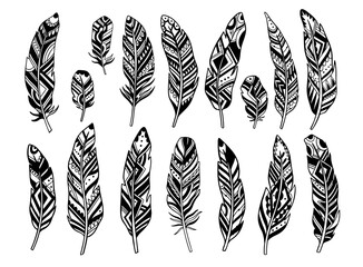 Set feather abstract isolated decoration. Boho rustic style. © ArinaKram