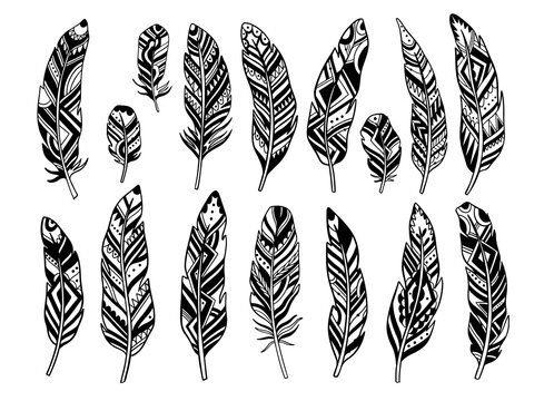 Fototapeta Set feather abstract isolated decoration. Boho rustic style.