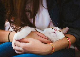 Close-up of long haired woman cuddling a cat laying on her lap