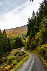 Fototapeta premium Mountain Road