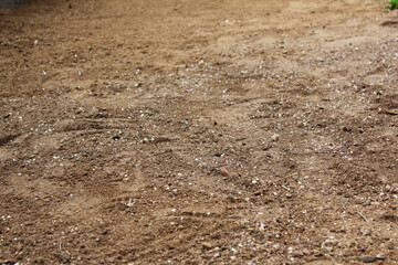 Soil texture background.