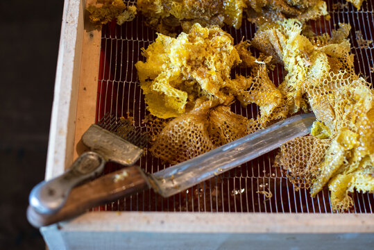 Honey extraction tools