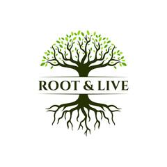 Root & Tree logo design. Vector silhouette of a tree.