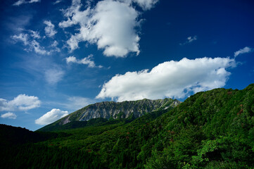 夏の大山