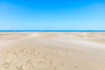 Fototapeta na wymiar Paysage de dunes de sable à la pointe de l'Espiguette sur la côte méditerranéenne (Occitanie, France)