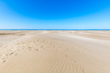 Fototapeta na wymiar Paysage de dunes de sable à la pointe de l'Espiguette sur la côte méditerranéenne (Occitanie, France)