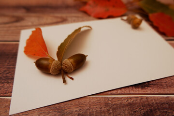 Acorns and autumn leaves on white and wooden background, どんぐりと紅葉