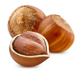 Hazelnut isolated on white background. Hazelnut with clipping path