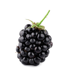 Blackberries isolated on white background. Macro.