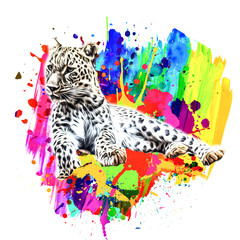abstract background with colorful leopard