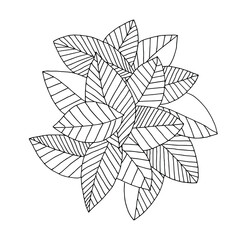 Black-and-white contour drawing of leaves. Vector image.