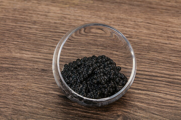 Fototapeta na wymiar Luxury strugeon fish black caviar