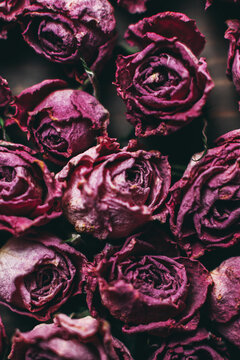 Dried roses on wooden background.