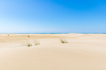 Paysage de dunes de sable à la pointe de l'Espiguette sur la côte méditerranéenne (Occitanie, France)