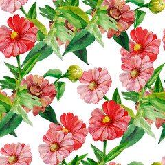 Gerbera seamless pattern..Image on white and color background.