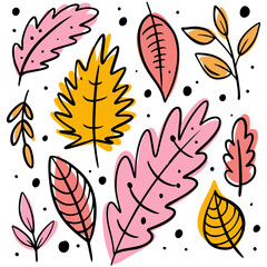 A set of colorful autumn leaves, capturing the vibrant hues of the season. These illustrations bring the beauty of fall foliage to life.