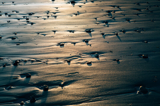 Detail of small pebbles on beach at low tide