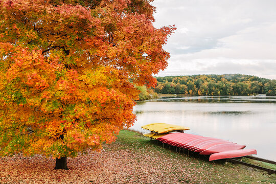 Canoes at Rest