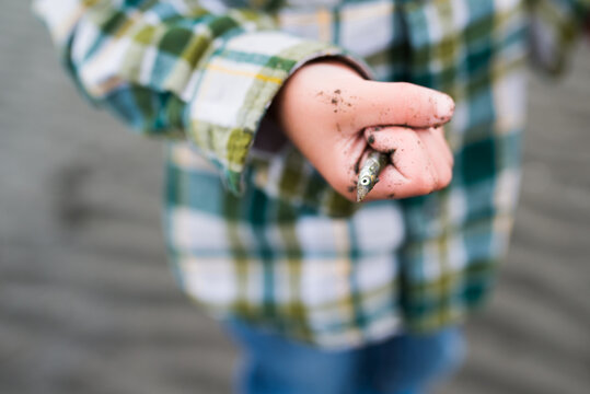 child with a live little fish in his hand