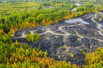 Aerial view of tire landfill and green forest. Environmental disaster.