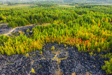 Aerial view of tire landfill and green forest. Environmental disaster.