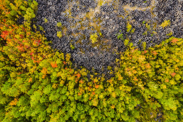 Aerial view of tire landfill and green forest. Environmental disaster.