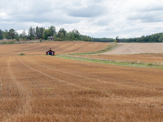 Waved cultivated row field. Rustic autumn landscape in brown tones in a sunny day with clouds