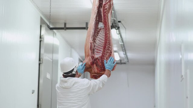 Meat production and food industry, worker moves a suspended pig carcass, meat processing plant, back view.