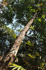 in the Phou Khao Khouay park in laos