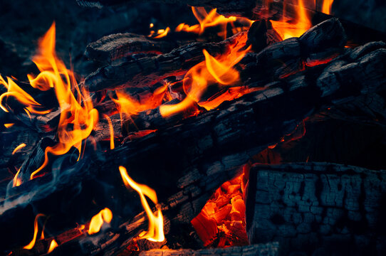 Close up of woods burning in the camp fire