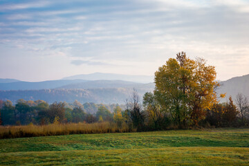 Fototapeta premium misty morning of mountainous countryside. rural landscape in autumn colors. trees on the fields in fall colors. distant mountains beneath a sky with clouds in morning light