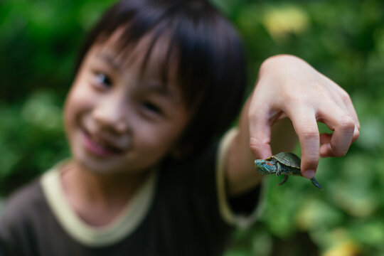Young boy proudly presents his little turtle friend