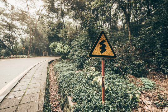 road for car in a forest