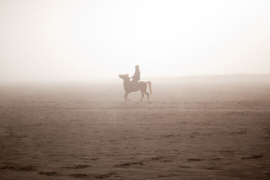 Horse rider